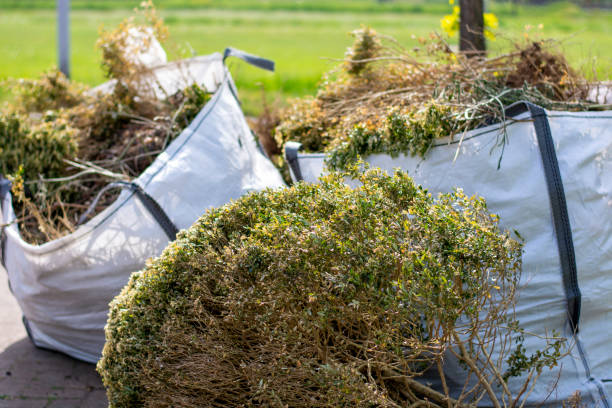 Best Electronics and E-Waste Disposal  in Maili, HI